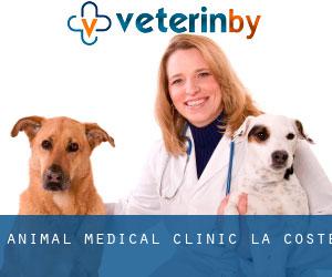 Animal Medical Clinic (La Coste)