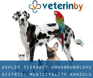 Ashley tierarzt (uMgungundlovu District Municipality, KwaZulu-Natal)
