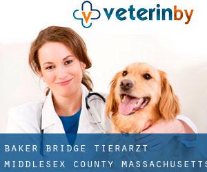 Baker Bridge tierarzt (Middlesex County, Massachusetts)