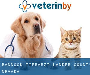 Bannock tierarzt (Lander County, Nevada)