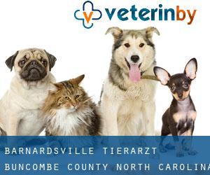 Barnardsville tierarzt (Buncombe County, North Carolina)