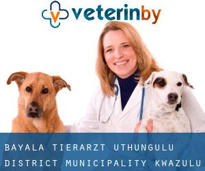 Bayala tierarzt (uThungulu District Municipality, KwaZulu-Natal)