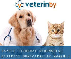 Bayete tierarzt (uThungulu District Municipality, KwaZulu-Natal)