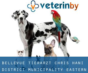 Bellevue tierarzt (Chris Hani District Municipality, Eastern Cape)
