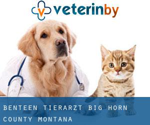 Benteen tierarzt (Big Horn County, Montana)