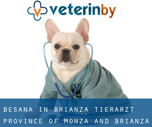 Besana in Brianza tierarzt (Province of Monza and Brianza, Lombardei)