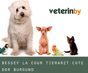 Bessey-la-Cour tierarzt (Cote d'Or, Burgund)