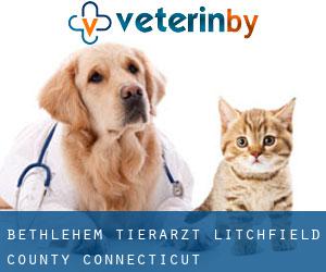 Bethlehem tierarzt (Litchfield County, Connecticut)