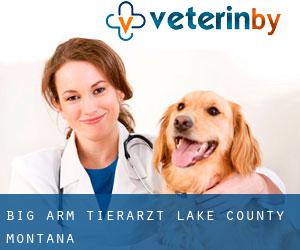 Big Arm tierarzt (Lake County, Montana)