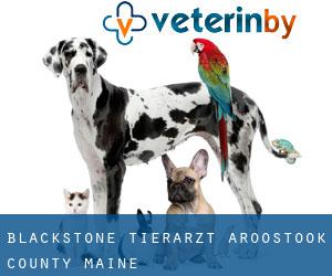 Blackstone tierarzt (Aroostook County, Maine)