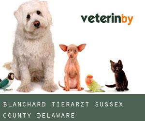 Blanchard tierarzt (Sussex County, Delaware)