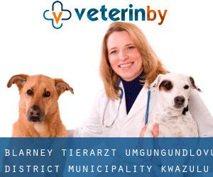Blarney tierarzt (uMgungundlovu District Municipality, KwaZulu-Natal)
