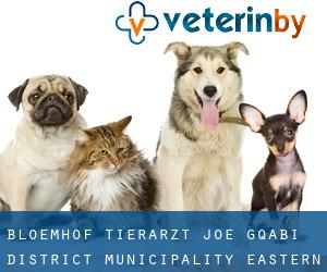 Bloemhof tierarzt (Joe Gqabi District Municipality, Eastern Cape)
