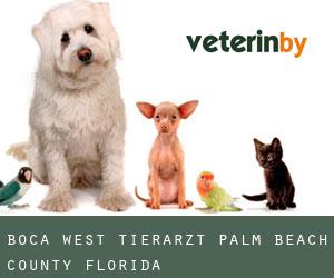 Boca West tierarzt (Palm Beach County, Florida)