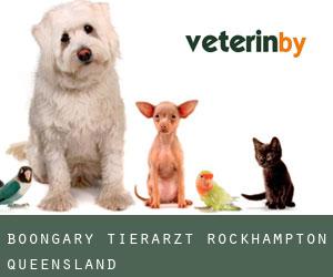 Boongary tierarzt (Rockhampton, Queensland)