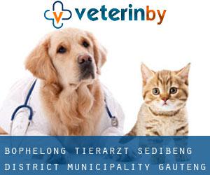 Bophelong tierarzt (Sedibeng District Municipality, Gauteng)