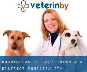 Bosmanspan tierarzt (Nkangala District Municipality, Mpumalanga)