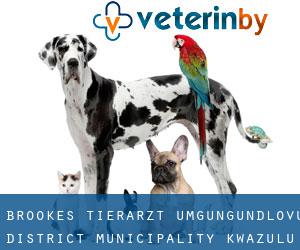 Brookes tierarzt (uMgungundlovu District Municipality, KwaZulu-Natal)
