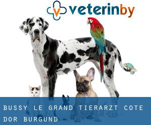 Bussy-le-Grand tierarzt (Cote d'Or, Burgund)