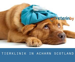 Tierklinik in Acharn (Scotland)