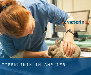 Tierklinik in Amplier