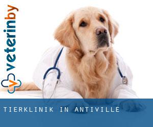 Tierklinik in Antiville