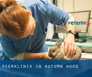 Tierklinik in Autumn Wood