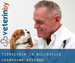 Tierklinik in Belleville (Champagne-Ardenne)