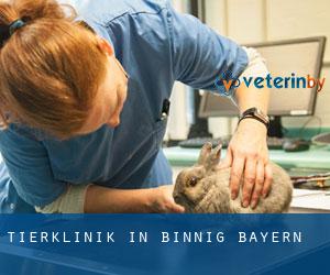 Tierklinik in Binnig (Bayern)