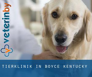 Tierklinik in Boyce (Kentucky)
