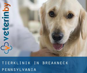 Tierklinik in Breakneck (Pennsylvania)