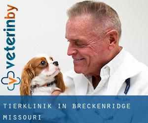 Tierklinik in Breckenridge (Missouri)