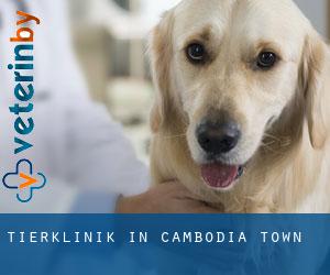 Tierklinik in Cambodia Town