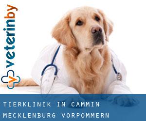 Tierklinik in Cammin (Mecklenburg-Vorpommern)