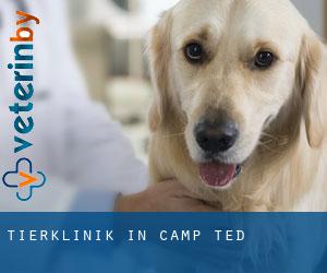 Tierklinik in Camp Ted