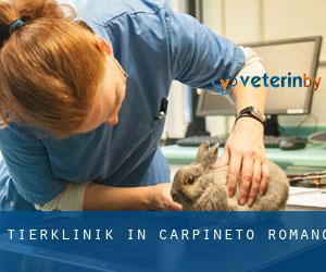 Tierklinik in Carpineto Romano