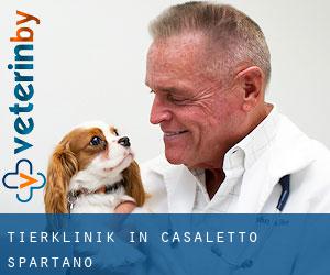 Tierklinik in Casaletto Spartano