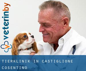 Tierklinik in Castiglione Cosentino