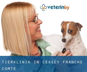 Tierklinik in Cessey (Franche-Comté)