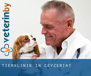 Tierklinik in Ceyzériat