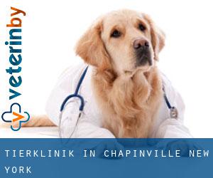 Tierklinik in Chapinville (New York)