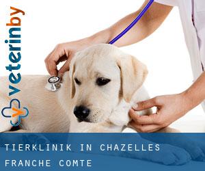 Tierklinik in Chazelles (Franche-Comté)