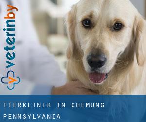 Tierklinik in Chemung (Pennsylvania)