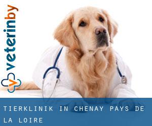 Tierklinik in Chenay (Pays de la Loire)