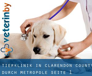 Tierklinik in Clarendon County durch metropole - Seite 1