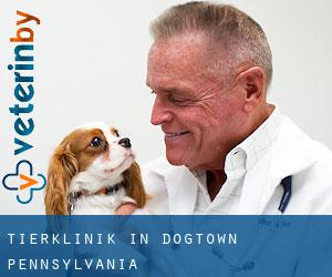 Tierklinik in Dogtown (Pennsylvania)