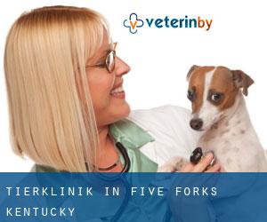 Tierklinik in Five Forks (Kentucky)