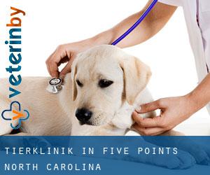 Tierklinik in Five Points (North Carolina)