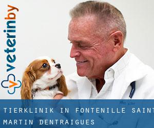Tierklinik in Fontenille-Saint-Martin-d'Entraigues