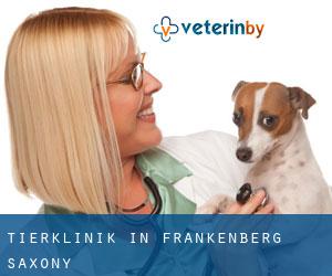 Tierklinik in Frankenberg (Saxony)